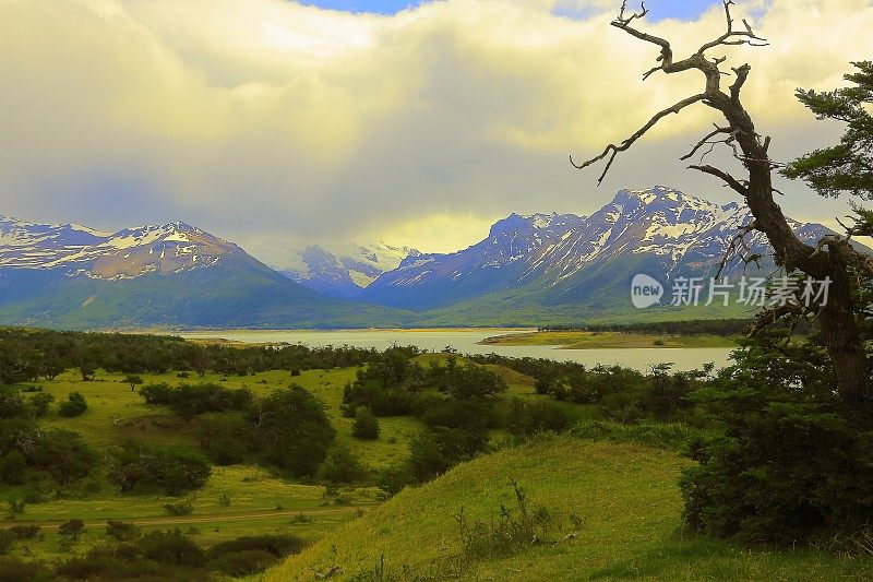 湖， 巴塔哥尼亚安第斯山脉草原景观， 埃尔卡拉法特， 阿根廷